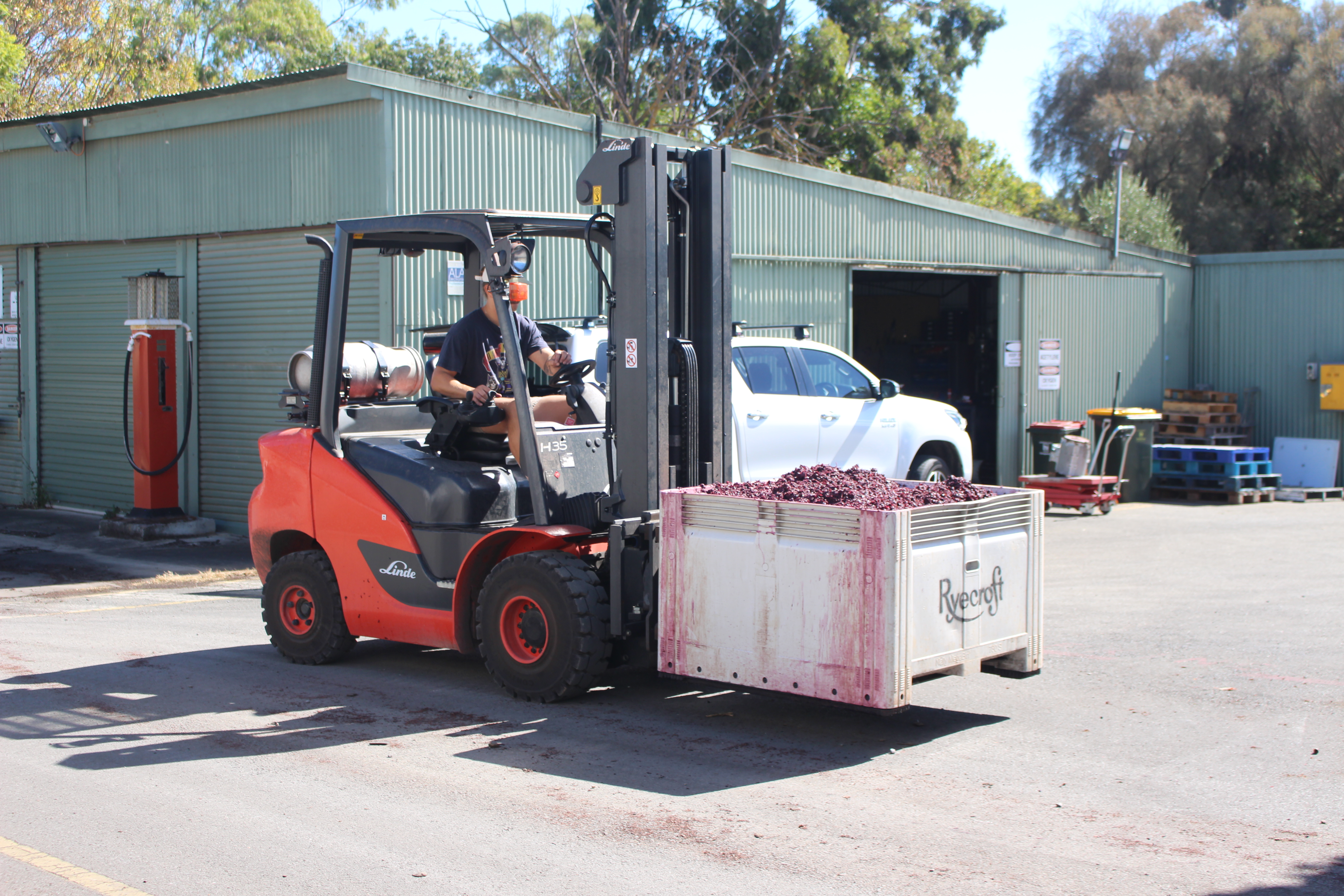 Red Linde forklift with tipping attachment transporting grapes