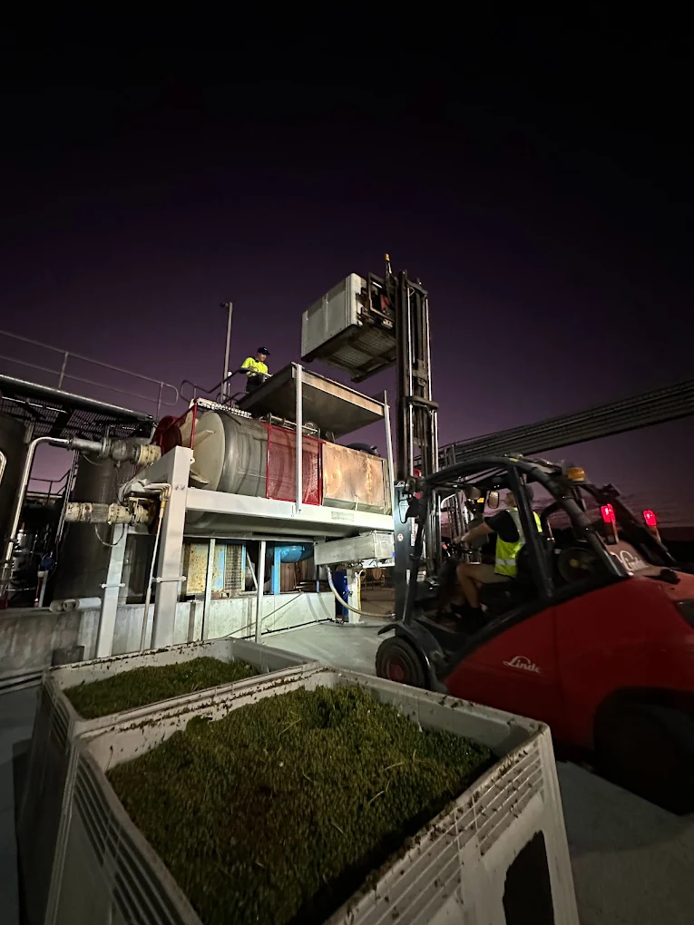 Linde forklift in the swing of harvest season